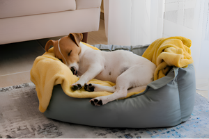 Cozy Beds Resting Spaces For Beloved Pets