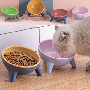 Elevate Your Pet's Dining Experience with the Pet Elevated Feeding Bowl