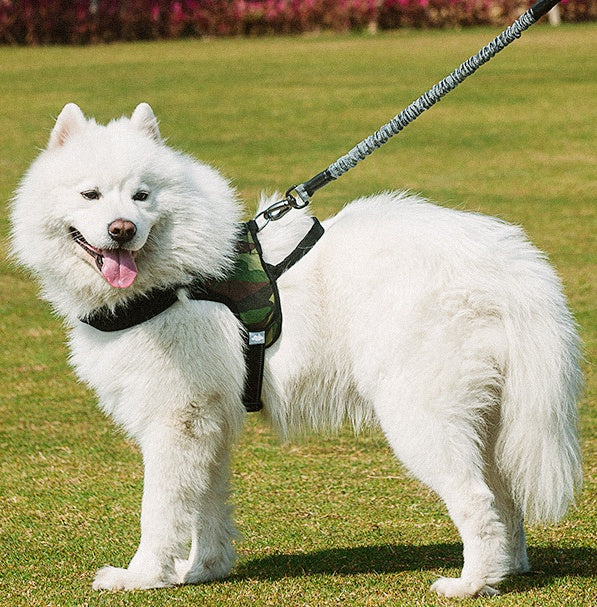 The Ultimate Adjustable Pet Chest Harness: Because Your Dog Deserves to Strut in Style!